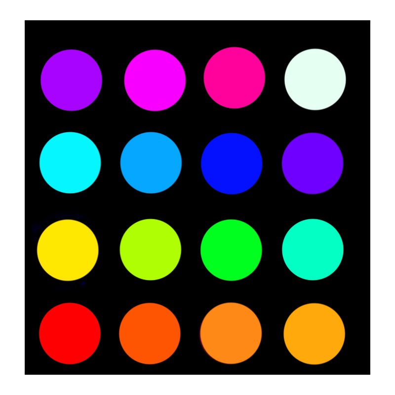 Bouncy Castle Rental