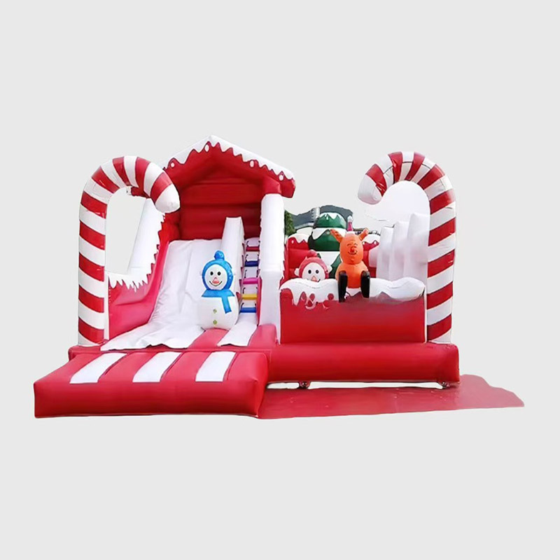 Bouncy Castle Rental